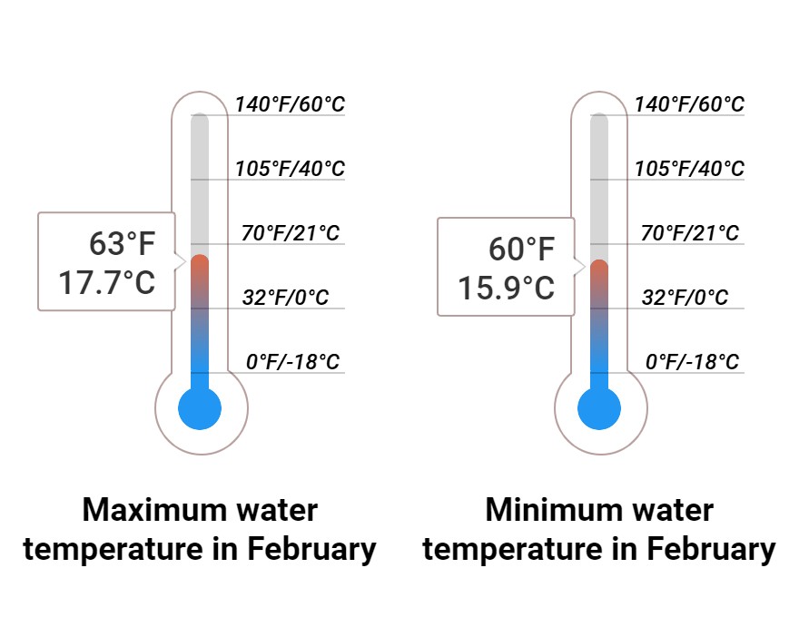 Average Sea temperature